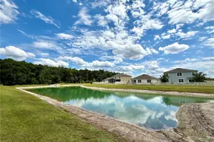 32794 Pez Landing Ln, Wesley Chapel, FL 33543 - Photo 31