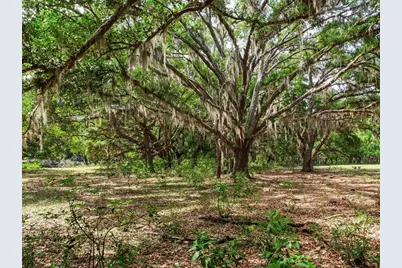 [Address not provided], Thonotosassa, FL 33592 - Photo 1
