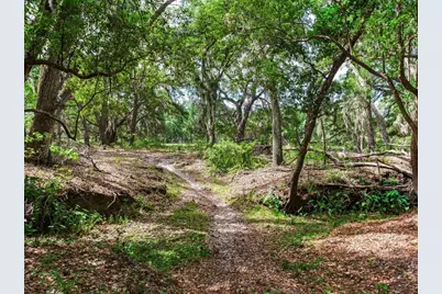 [Address not provided], Thonotosassa, FL 33592 - Photo 3