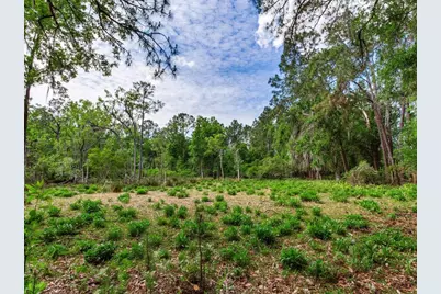 [Address not provided], Thonotosassa, FL 33592 - Photo 15