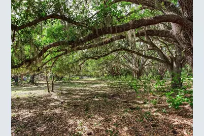 [Address not provided], Thonotosassa, FL 33592 - Photo 7