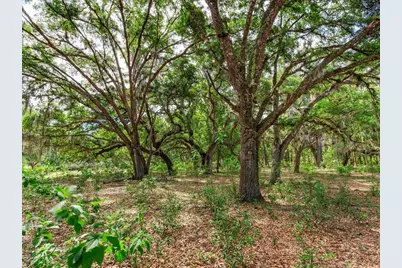 [Address not provided], Thonotosassa, FL 33592 - Photo 9
