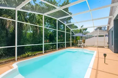 420 Cypress View Drive, Oldsmar, FL 34677 - Photo 29