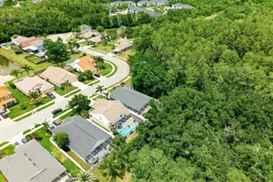 420 Cypress View Dr, Oldsmar, FL 34677 - Photo 37