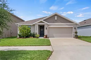 33607 Hamilton Hl Ln, Wesley Chapel, FL 33545 - Photo 1