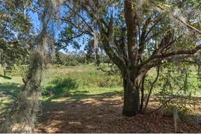11315 N Ola Avenue, Tampa, FL 33612 - Photo 39