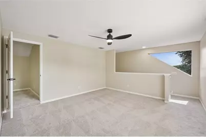19117 Mandarin Grove Place, Tampa, FL 33647 - Photo 35