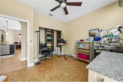 19117 Mandarin Grove Place, Tampa, FL 33647 - Photo 31