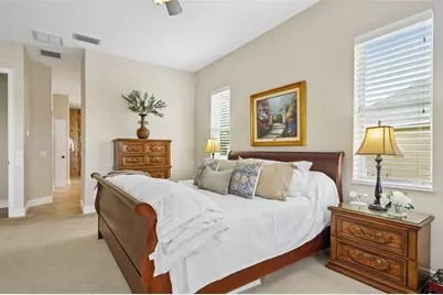 19117 Mandarin Grove Place, Tampa, FL 33647 - Photo 19
