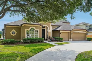 19117 Mandarin Grove Pl, Tampa, FL 33647 - Photo 1