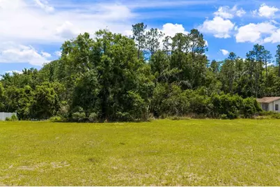 297 Magnolia Acres Court, Lutz, FL 33548 - Photo 11