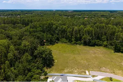 297 Magnolia Acres Court, Lutz, FL 33548 - Photo 21