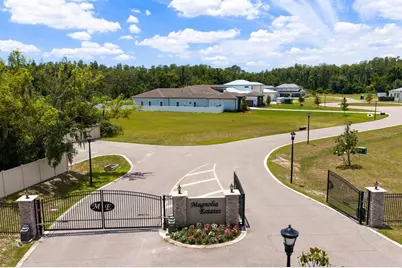 297 Magnolia Acres Court, Lutz, FL 33548 - Photo 5