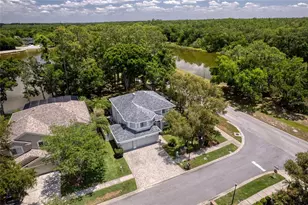 15501 Kingsmill Pl, Odessa, FL 33556 - Photo 11