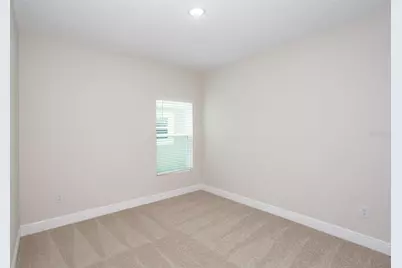 9886 Annunciation Drive, Wesley Chapel, FL 33545 - Photo 17
