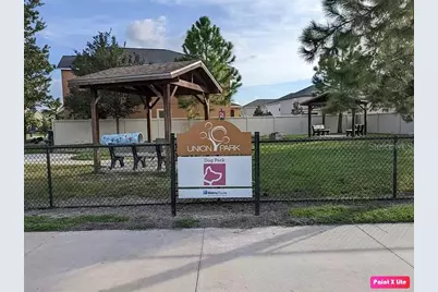 32859 Pez Landing Lane, Wesley Chapel, FL 33543 - Photo 25