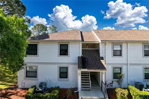 202 Meadow Ln, Oldsmar, FL 34677 - Photo 47