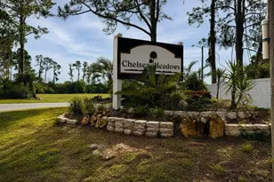 4401 Dylan Loop, Land O Lakes, FL 34639 - Photo 33