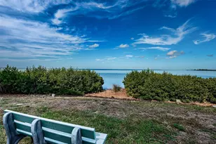 328 Mariner Dr, Tarpon Springs, FL 34689 - Photo 85