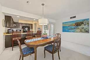 328 Mariner Dr, Tarpon Springs, FL 34689 - Photo 21