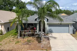 9817 White Barn Way, Riverview, FL 33569 - Photo 1