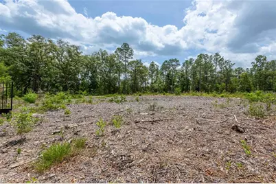 15022 Gar Street, Spring Hill, FL 34609 - Photo 7
