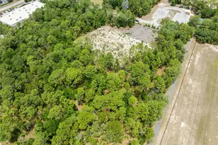 15022 Gar St, Spring Hill, FL 34609 - Photo 11