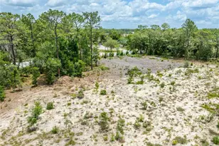 15022 Gar St, Spring Hill, FL 34609 - Photo 23