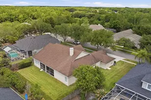 5406 Sunflare Way, Lutz, FL 33558 - Photo 29