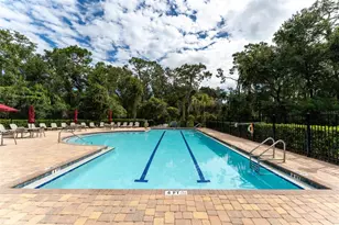 6302 Bridgevista Dr, Lithia, FL 33547 - Photo 59