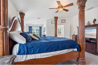 9643 Asbel Estates Street, Land O Lakes, FL 34638 - Photo 23