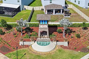 2959 Common Fig Run, Wesley Chapel, FL 33543 - Photo 35