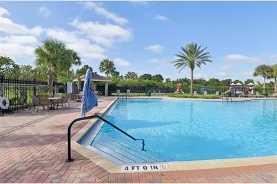 13908 Chalk Hill Place, Riverview, FL 33579 - Photo 33
