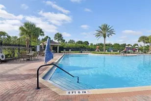 13908 Chalk Hill Pl, Riverview, FL 33579 - Photo 33