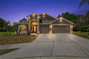 2453 Addington Pl, Wesley Chapel, FL 33543 - Photo 1
