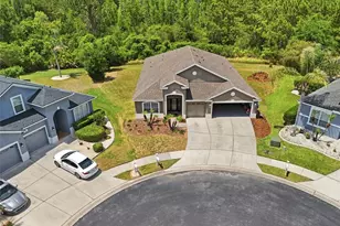 2453 Addington Pl, Wesley Chapel, FL 33543 - Photo 37
