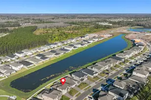 18255 Serene Lake Loop, Lutz, FL 33548 - Photo 39
