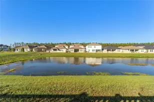 18255 Serene Lake Loop, Lutz, FL 33548 - Photo 35