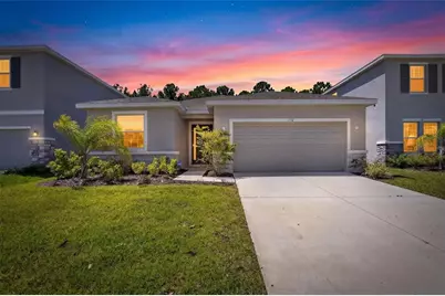 152 Bright Ibis Avenue, Apollo Beach, FL 33572 - Photo 1