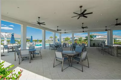 152 Bright Ibis Avenue, Apollo Beach, FL 33572 - Photo 41