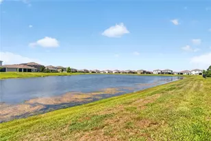 152 Bright Ibis Ave, Apollo Beach, FL 33572 - Photo 37