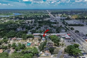 8738 N Tangerine Pl, Tampa, FL 33617 - Photo 49