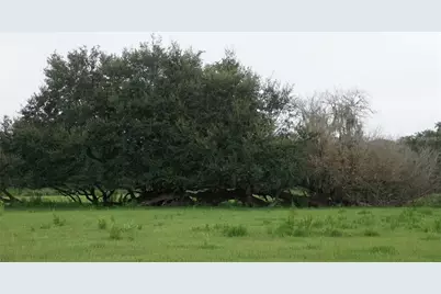 Durant Rd, Dover, FL 33527 - Photo 5