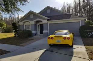 1424 Wylie Ct, Wesley Chapel, FL 33543 - Photo 1