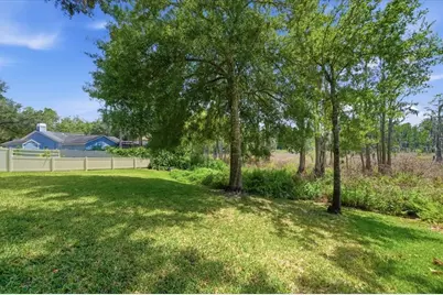 2804 Palamore Drive, Tampa, FL 33618 - Photo 31