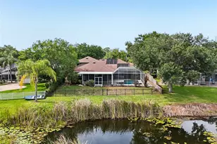 15720 Berea Dr, Odessa, FL 33556 - Photo 51