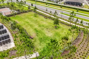 5519 Blue Azure Dr, Wimauma, FL 33598 - Photo 63