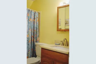 331 Sky Loch Drive W, Dunedin, FL 34698 - Photo 29