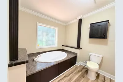 16744 Race Track Road, Odessa, FL 33556 - Photo 39