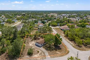13002 Oneida St, Spring Hill, FL 34609 - Photo 35